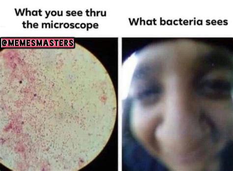 Biology Meme Science Memes Funny Biology Jokes Science Memes