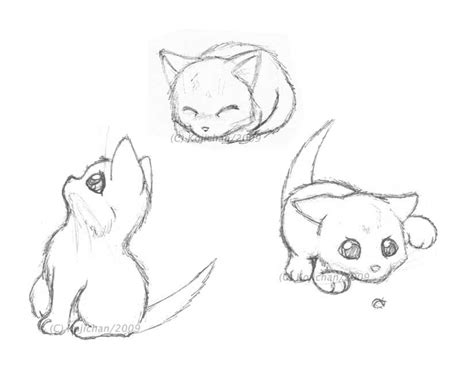 Cat Illustrations Kitten Drawing Animal Drawings Sketches
