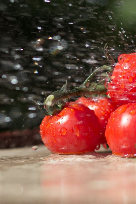 Cherry In The Shower Free Stock Photo FreeImages