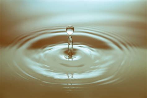 Free Images Droplet Liquid Light Warm Water Drop Petal Glass