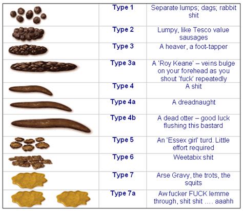 Stool Quality Chart For Dog Poop Color Of Your Poop Chart Stool Color