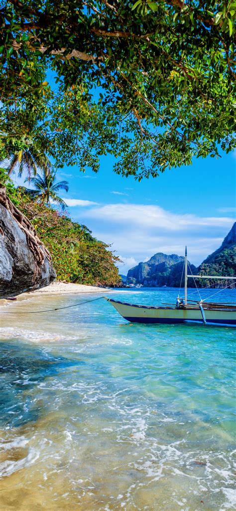 フィリピン、ビーチ、海、ボート、木々 1242x2688 Iphone 11 Proxs Max 壁紙、背景、画像