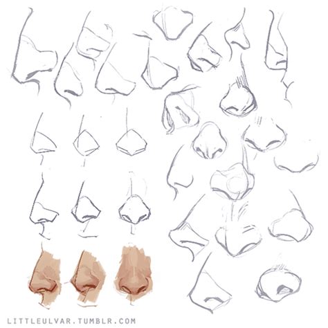 Any Tips For Nose Drawing Art Reference Nose Drawing Anatomy Sketches