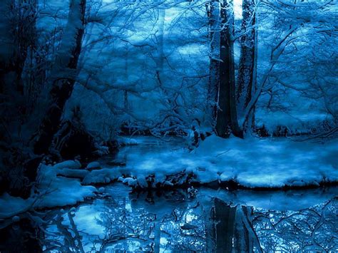 Winter Night Forest Wallpapers Top Free Winter Night Forest