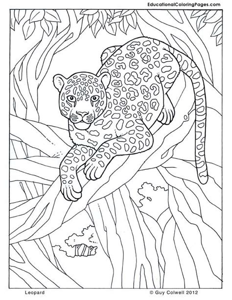 Find high quality safari coloring page, all coloring page images can be downloaded for free for personal use only. all coloring pages | Animal Coloring Pages for Kids