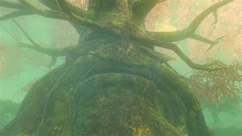 Zelda Tears Of The Kingdom Deku Deku And Hyrule Forest Guide