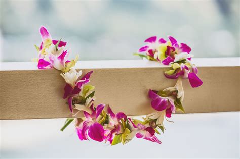 Everything You Always Wanted To Know About Lei