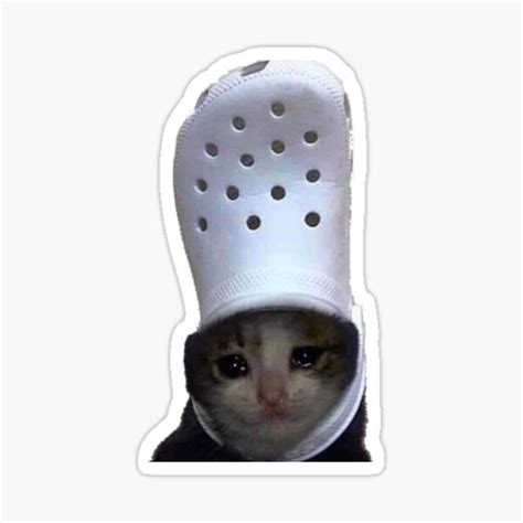 Crying Cat Croc Meme Sticker For Sale By Bgsmall Redbubble