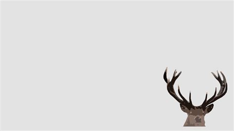 Minimalist Deer Wallpapers Top Free Minimalist Deer Backgrounds