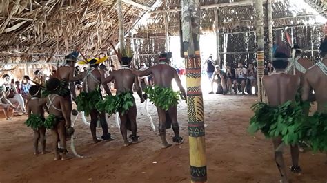 o brasil é lindo ritual indígenas mta amazônica manaus youtube