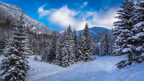Snowy Mountain Path In Winter Stock Image Image Of Natural December