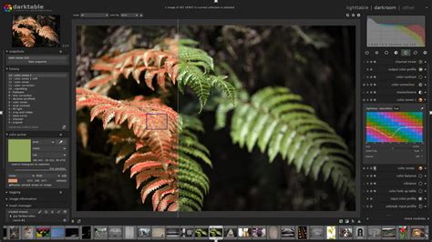 Here, you can adjust the light and color of the photo. Lightroom Photo Editing Software Free Download For Mac ...