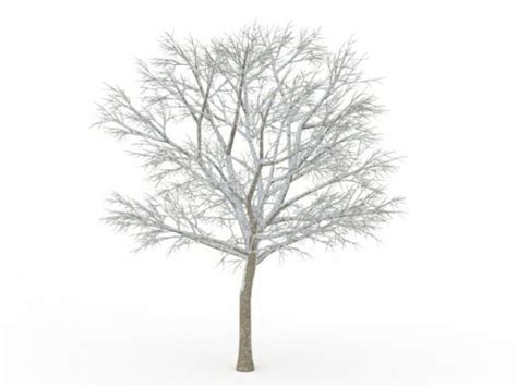 Beautiful Snow Tree Free 3d Model Max Open3dmodel