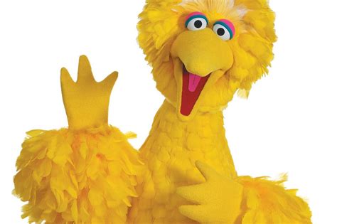 Big Birds Twitter Account Just Dropped The Most Spectacular First