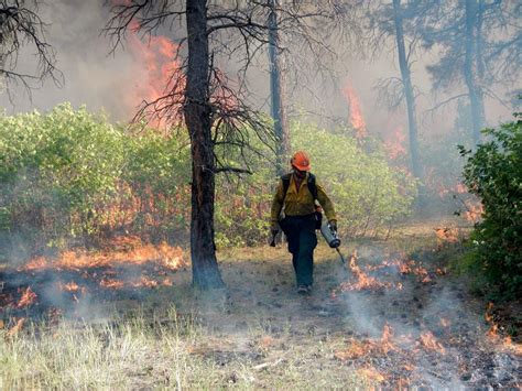 Prescribed Burning To Begin On Los Padres National Forest