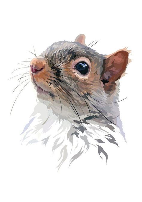 Woodland Themed Squirrel Art Print Squirrel Artwork Squirrel Etsy