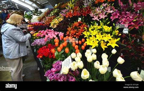 Harrogate Flower Show Stock Photos And Harrogate Flower Show Stock Images