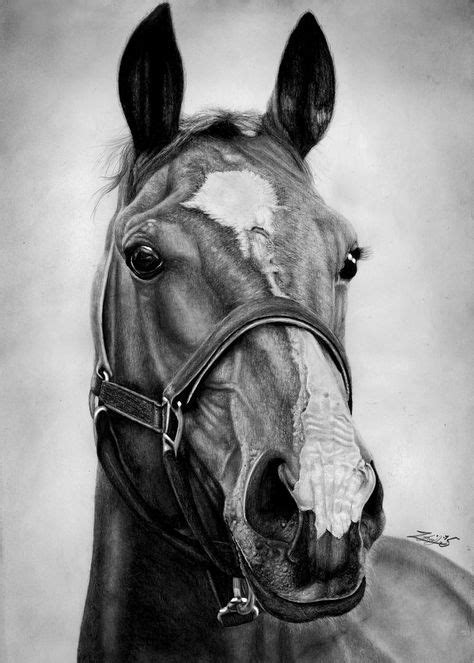 250 Pencil Drawings Of Horses Ideas Horses Drawings Horse Drawings