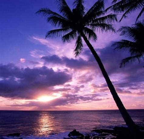Beautiful Purple Sunset Sunset Wallpaper Beautiful Sunset Beach Sunset