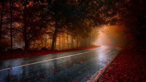 Autumn Forest Road Hd Wallpaper