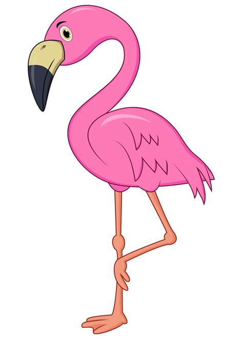 Desenhos De Flamingos Para Colorir Pop Lembrancinhas