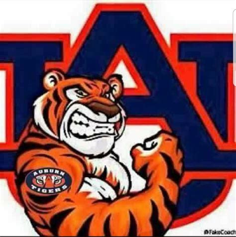 Pin By Suzanne Sherman On War Eagle War Eagle Auburn Auburn Tigers