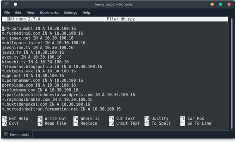 Cara Konfigurasi Dns Filtering Menggunakan Bind Rpz Pada Debian Hot Sex Picture
