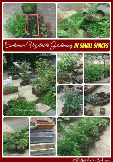 Container Vegetable Gardens For Small Spaces The