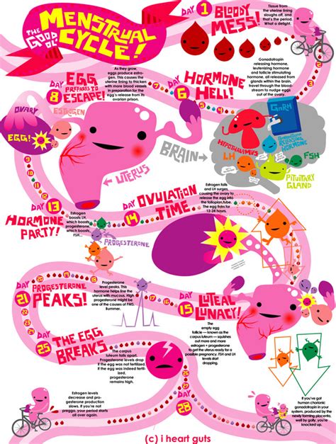 Demystifying The Menstrual Cycle One Infographic Planned Parenthood
