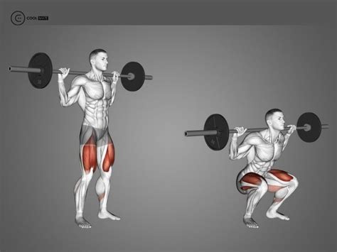 Squat Là Gì Hướng Dẫn Tập Squat đúng Cách độ Mông Hiệu Quả Nhanh Chóng