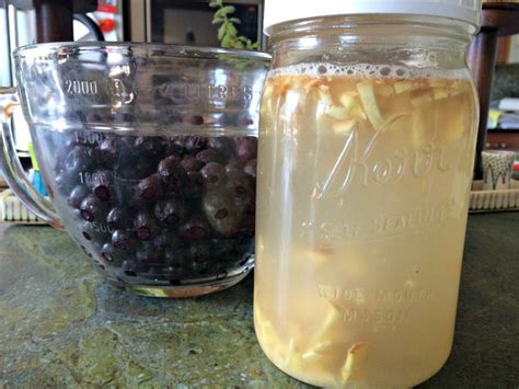 Naturally Fermented Blueberry Ginger Soda Nourished Roots