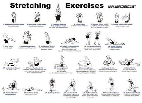 Which strategy can help you narrow your response to any literature hexagonal writing compiling a list looping? 17 Best images about Strengthening Exercises on Pinterest | Lower backs, Abs and Muscle