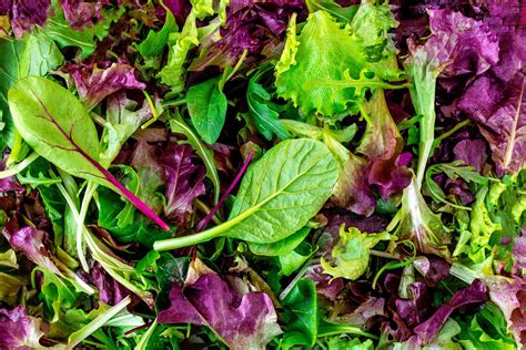 We did not find results for: What is Mesclun and What To Do With It?