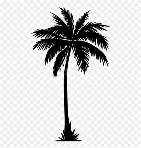 Silhouette palm tree png transparent. Free Png Palm Tree Silhouette Png - Palm Trees Silhouette ...