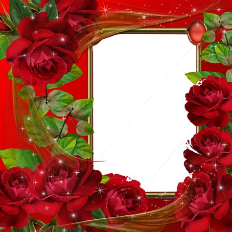 Download Red Flower Frame Hq Png Image Freepngimg