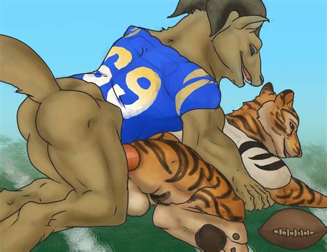 Rule 34 Anal Bengal Tiger Bovid Caprine Cincinnati Bengals Felid Los Angeles Rams Male Male
