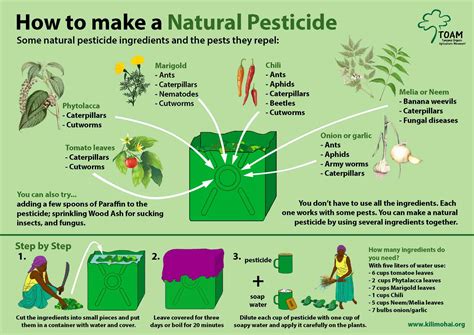 Ask the farmers at your local farmers' market and learn their methods. How to make a natural pesticide | FAO