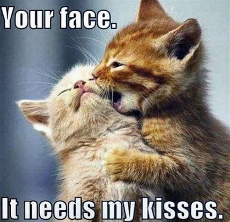 The Best Love Memes To Brighten Up Your Day