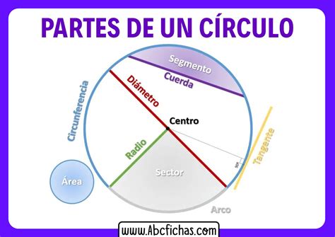 Estructura Y Partes Del Círculo Y De La Circunferencia
