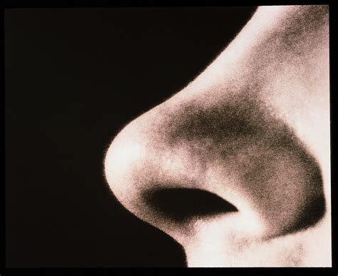 Close Up Of A Human Nose Side View Photograph By Cristina Pedrazzini