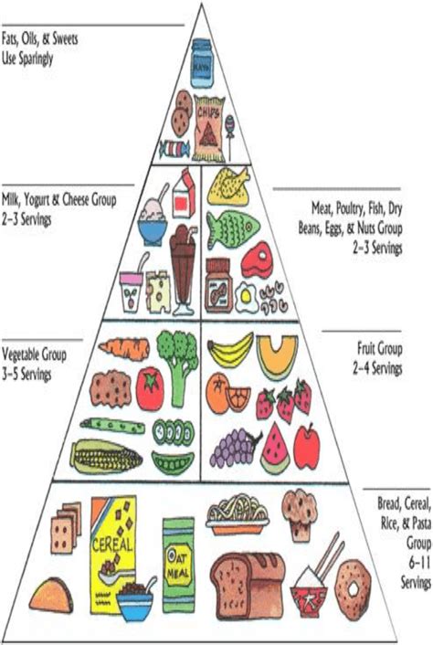 Food Pyramid Vocabulary Quiz Quizizz