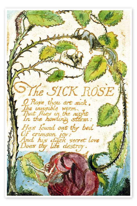 The Sick Rose Print By William Blake Posterlounge