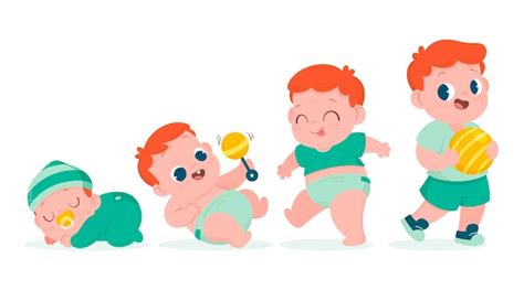 Free Vector Flat Stages Of A Baby Boy Illustration