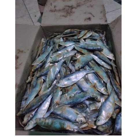 Jual Ikan Asin Tanjan Tembang Murah 1kg Shopee Indonesia