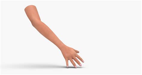 3d Model Human Arm And Nails Character Cgtrader