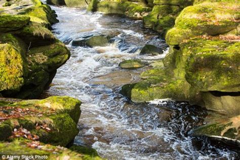 The Mysterious Bolton Strid Of Uk