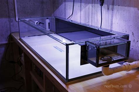 This tank may even replace the 40 gallon breeder because it fits perfectly. Frag Tank - ReefBum