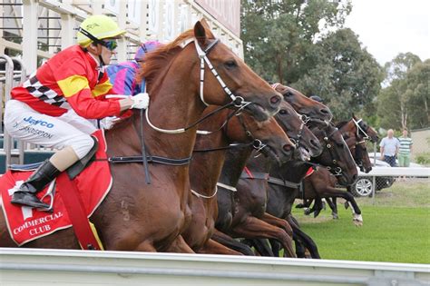 Photo Gallery Albury Racing Club Country Racing At Its Best