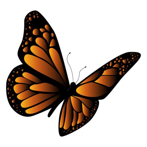 Vetor de borboleta laranja e preto - Baixar PNG/SVG Transparente png image