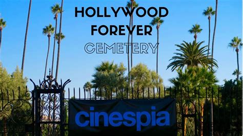 These options are all featured in this diverse library! Cinespia Outdoor Movie Hollywood Forever Cemetery - YouTube